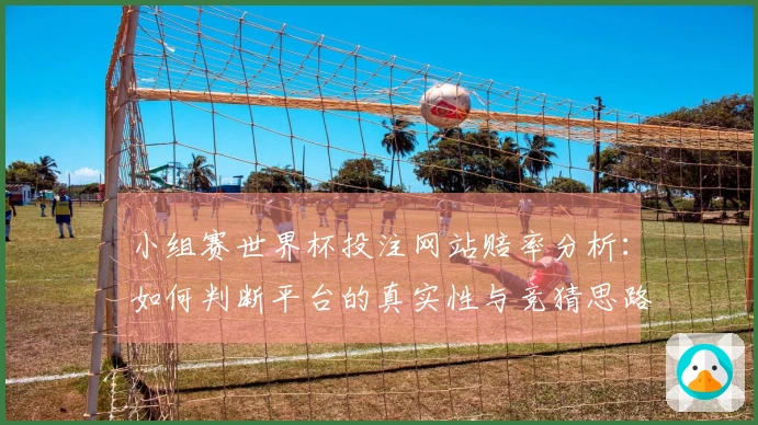 小组赛世界杯投注网站赔率分析：如何判断平台的真实性与竞猜思路